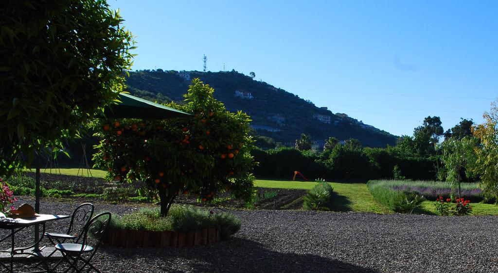 Agriturismo Coppi Rossi Torrazza  Exterior foto